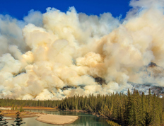 Que couvrent les assurances en cas de feux de forêt?